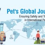Your Pet's Global Journey with Spedition India: Ensuring Safety and Transparency in International Pet Deliveries