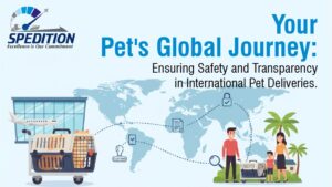 Your Pet's Global Journey with Spedition India: Ensuring Safety and Transparency in International Pet Deliveries