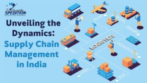 unveiling the dynamics